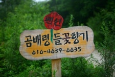 들꽃향기펜션