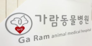 가람동물병원