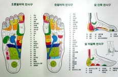 라파엘헬스라이프라파엘자연치유연구소 | 라파치유센터