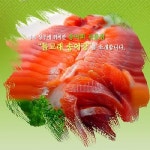 돌고래송어장