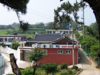 신흥민박