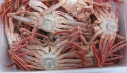 상진호식당