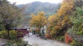 덕유산 병곡계곡펜션캠핑