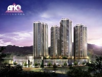 에이앤씨코리아