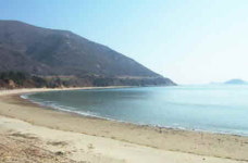금장해변