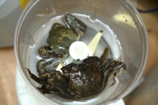 남대천식당