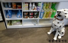 봄봄동물병원