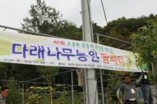 토종다래팜핑