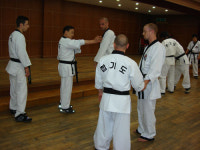 대한합기도경무관