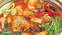 통통동태