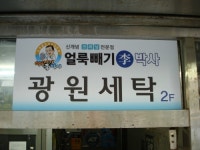 얼룩빼기이박사