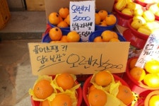 지혜과일농장