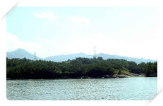 연도