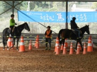 나불도승마랜드