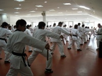 대한합기도경무관