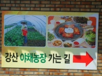 강산숯불닭갈비막국수