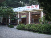 약수매운탕