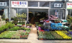 한아름플라워
