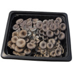 해오름친환경복합영농조합