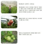 해오름 농원