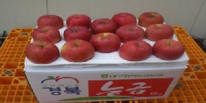늘푸른농원