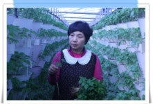 삼무루지새싹삼윤희네농장