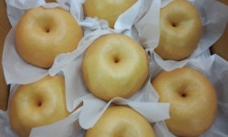 지오농장 지오팜