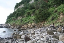 제주서귀포층패류화석산지