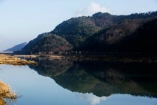 미르숲