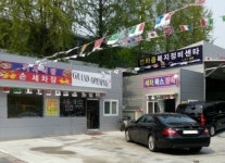 티모터스
