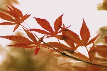 구미교회 사진 1
