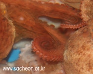 사천수산