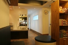 세인트동물병원