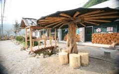 정선펜션1박2일