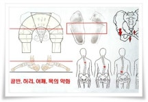 라파엘헬스라이프라파엘자연치유연구소 | 라파치유센터