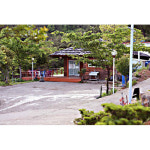 씨죤