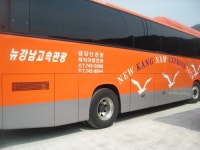 뉴강남여행사