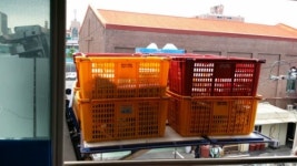 김해이사 김해포장이사GS