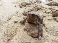 인천 강화 바다정원 가족 오션뷰 펜션