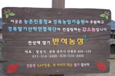 경주반석딸기농장
