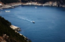 거제도소나무향기낚시펜션