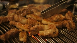 통통돼지