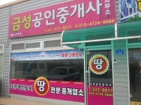 금성공인중개사무소