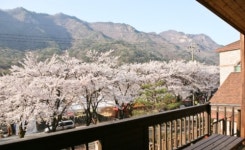 계룡산동학사펜션