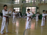 계명석사태권도