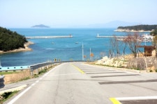 청산도 들꽃민박