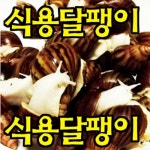 소복달팽이농장