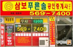 삼보푸른솔공인중개사사무소