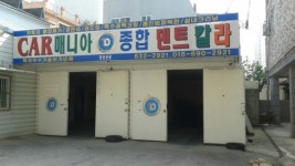 종합덴트칼라