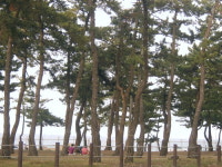 사천민박
